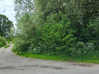 Picture 8